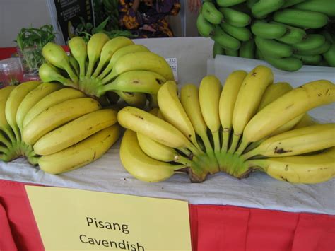 Berikut akan saya jabarkan jenis di filipina tanaman ini dikenal dengan nama cardaba sedangkan di malaysia dikenal dengan nama pisang abu. Anim Agro Technology: Kultivar Pisang di Malaysia