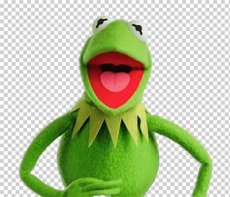Kermit La Rana Riendo Kermit La Rana Riendo En El Cine Los Muppets