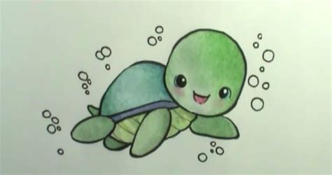 How To Draw A Turtle Turtle Drawing Cute Turtle Drawings Cartoon Turtle