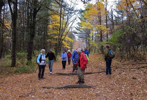 Saratoga Woods And Waterways An Autumn Walk At Saratoga Battlefield