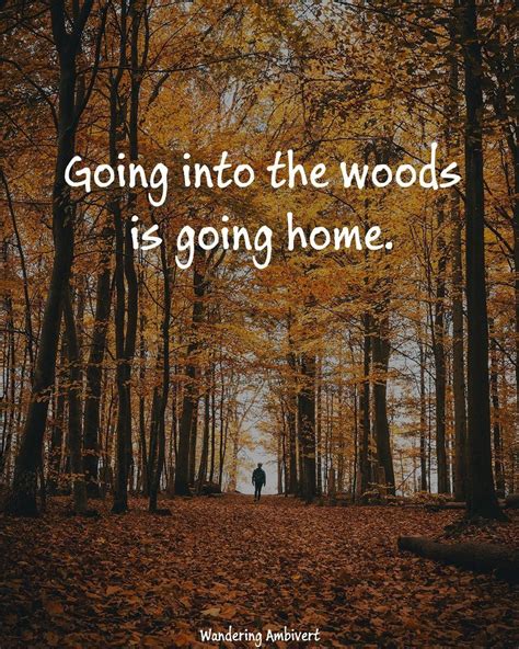 Going into the woods is going home. | 1000 - Modern | 1000 in 2020 ...