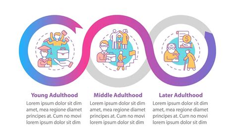 Stages Of Adulthood Vector Infographic Template 3414984 Vector Art At
