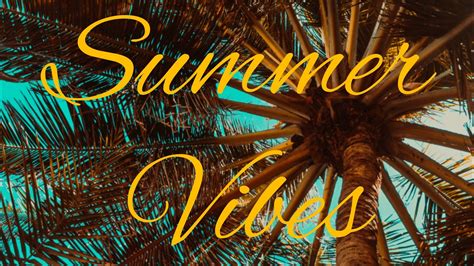Summer Vibes Wallpapers Top Free Summer Vibes Backgrounds