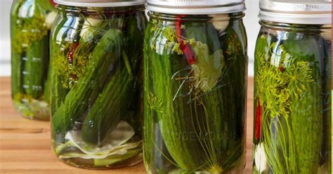 Copycat Claussen Kosher Dill Pickles