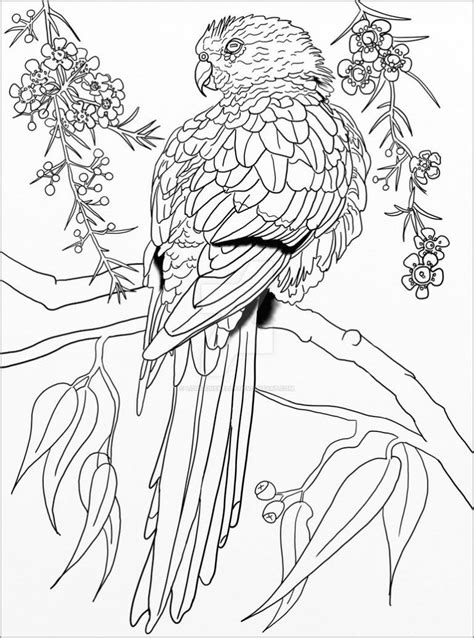 Zentangle Parrot Coloring Page For Adult Coloringbay