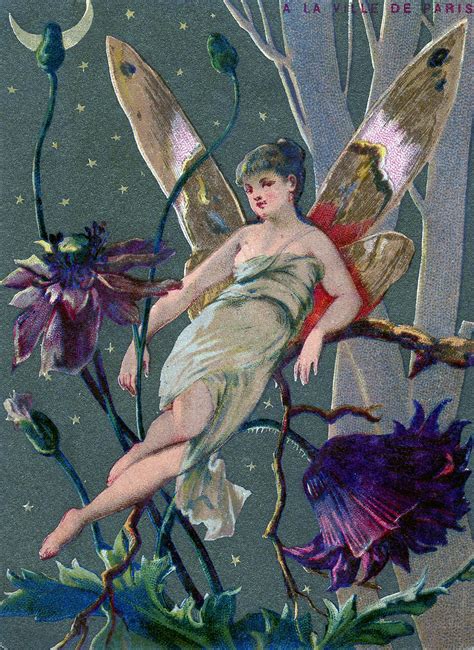 Vintage Graphic Fairy In Moonlight The Graphics Fairy
