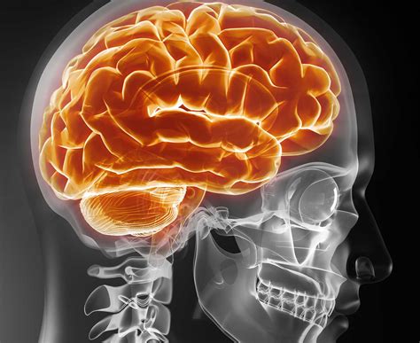 New Medical Research Shows Brain Imaging Can Now Help Doctors