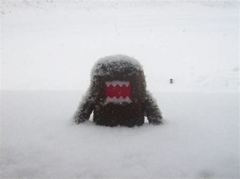 Pin By Kendra Westphalen On Domo Domo Domo Snow Fun Emo Scene Wallpaper