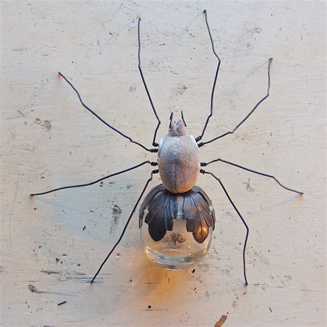 Glass Bottomed Spiders