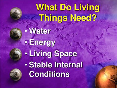 Ppt Needs Of Living Things Powerpoint Presentation Free Download