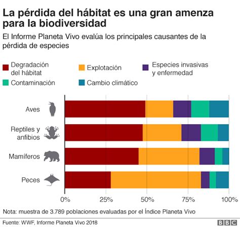4 gráficos que muestran la alarmante degradación de la biodiversidad