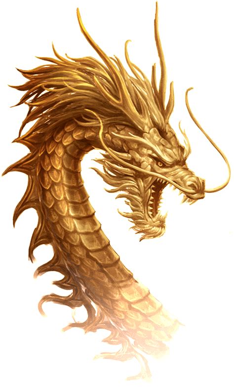 Download Golden Dragon Transparent Illustration Chinese Dragon