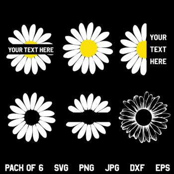 Daisy Flower SVG, PNG, DXF, Cricut, Clipart, Cut File, Instant Digital