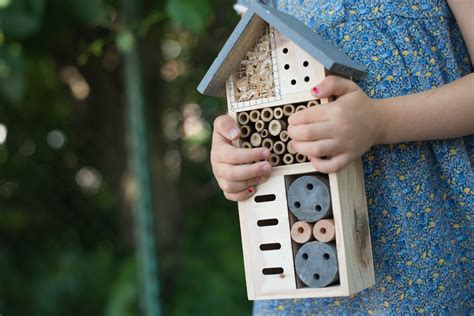 Comment Construire Un Hotel À Insectes Fabriquer Un Hôtel à Insectes