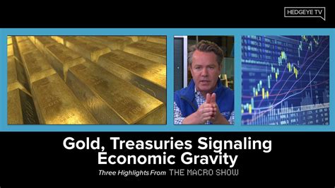 The Macro Show Highlights Gold Treasuries Signaling Economic Gravity