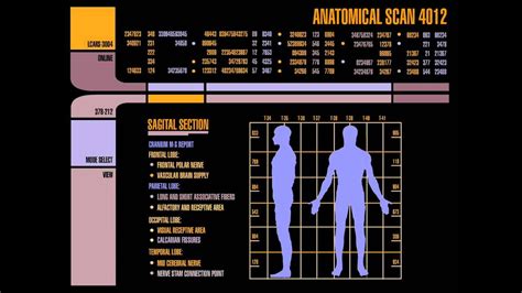 Star Trek Lcars Anatomical Scan Youtube