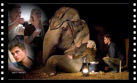 De L'eau Pour Les éléphants En Streaming - Water for Elephants~ (De l'eau pour les éléphants) ______Imdb