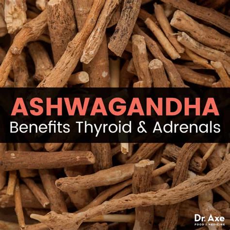 Ashwagandha Benefits Thyroid And Adrenals Dr Axe