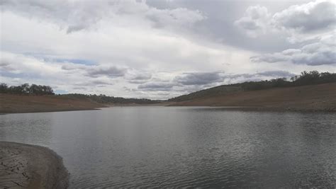Banks are prime habitat for native fish such as cod and golden perch at glenlyon dam. Glenlyon Dam Tourist Park | Glenlyon Dam Rd, Mingoola QLD ...