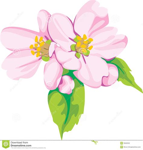 Apple Flower Clipart 20 Free Cliparts Download Images On Clipground 2021