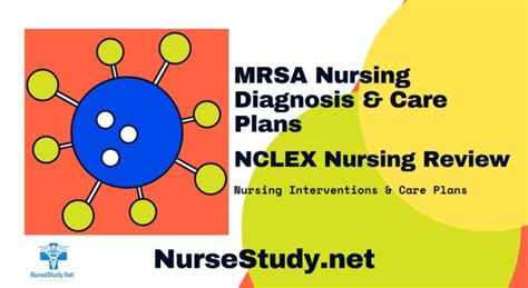 Mrsa Nursing Diagnosis And Nursing Care Plan Nursestudynet
