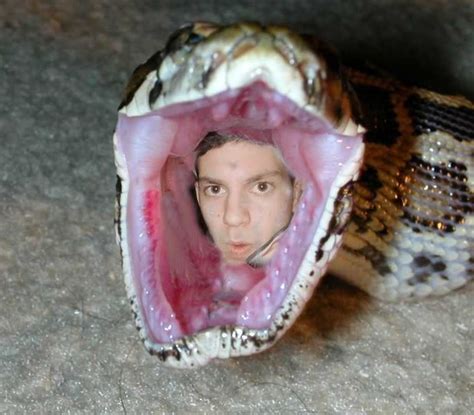 Snakes Snakes Eating Man