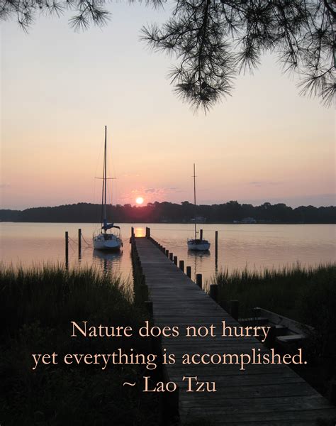Inspirational Quotes About Nature Quotesgram