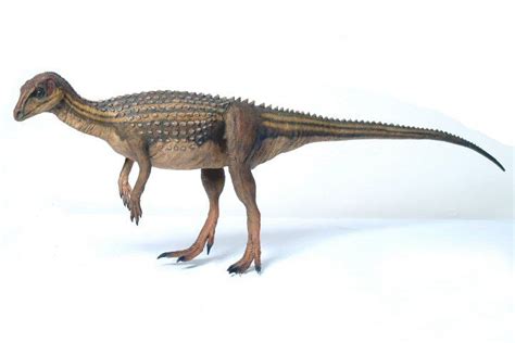 Scutellosaurus Was A Small Bipedal Herbivorous Dinosaur From The Lower