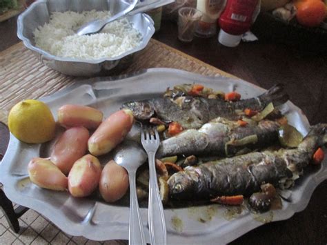 Lesfoodies com hanor recette truites - au -four- au - vin - blanc