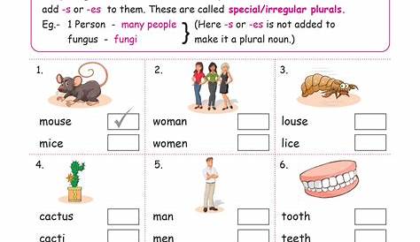 Grade 1 Bl Blends Worksheets / L Blends Worksheets and Activities by
