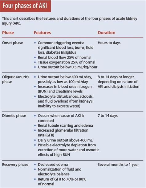 Four Phases Of Acute Kidney Injury Aki