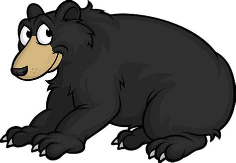 American Black Bear Illustrations Royalty Free Vector Graphics And Clip