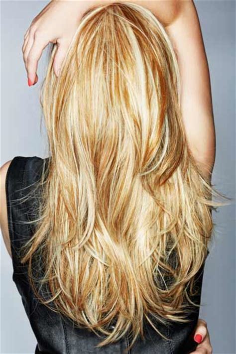 Hair Style Idea Layered Haircuts For Long Hair Back View