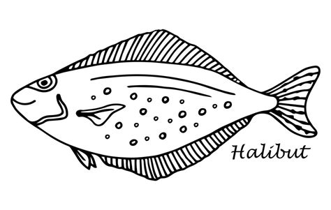 Vector Halibut Hand Drawn Icon Badge Flounder Fish For Design Seafood