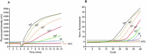 Amplification Curves In Mu Rpa A And Bu Real Time Pcr B Assays Download Scientific Diagram