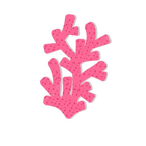 Coral Pink Vector Hd Images Pink Spotted Coral Clip Art Coral