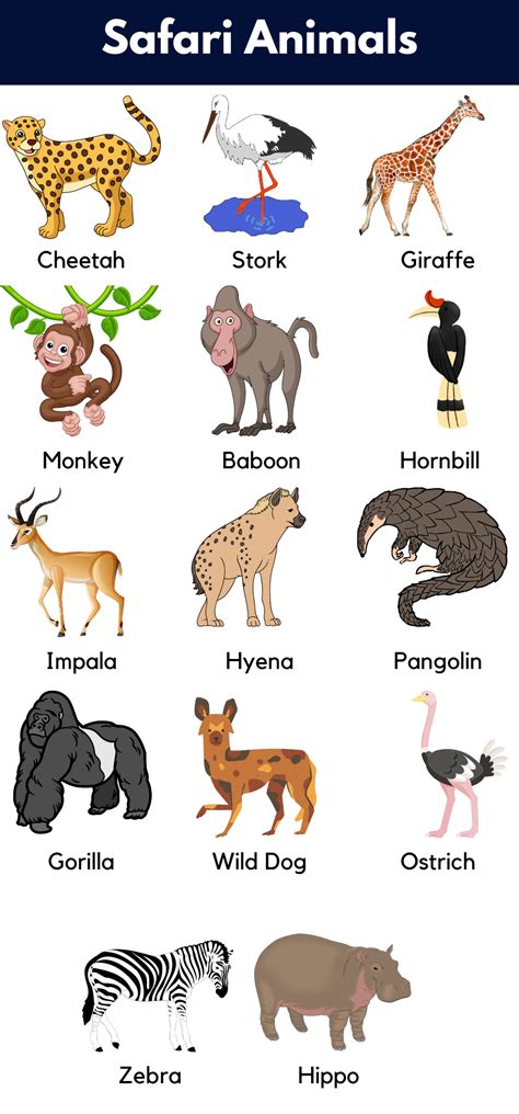 List Of Safari Animals Names With Pictures Grammarvocab