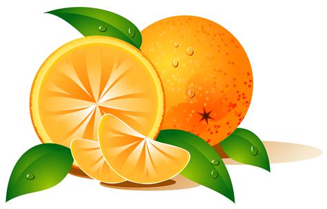 Paste the url in input box above and click on download. Shutterstock Free Download Images - ClipArt Best