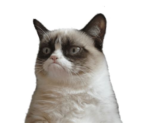 PNG Grumpy Cat Transparent Grumpy Cat.PNG Images. | PlusPNG