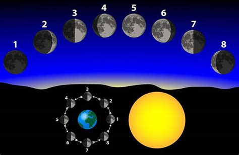 Les Différentes Phases De La Lune