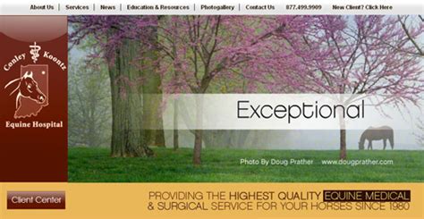 Digital Hill Launches New Website For Conley And Koontz Equine Hospital