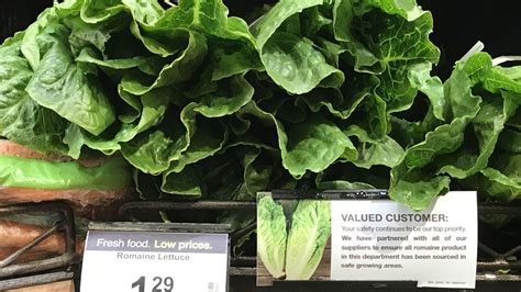 Romaine Lettuce E Coli Outbreak Could Be Nearing End Cdc Says