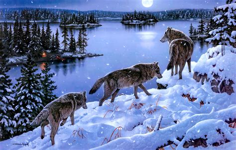 Find the best wolf hd wallpaper on getwallpapers. 4K Wolf Wallpapers 2019 - AllHDWallpapers