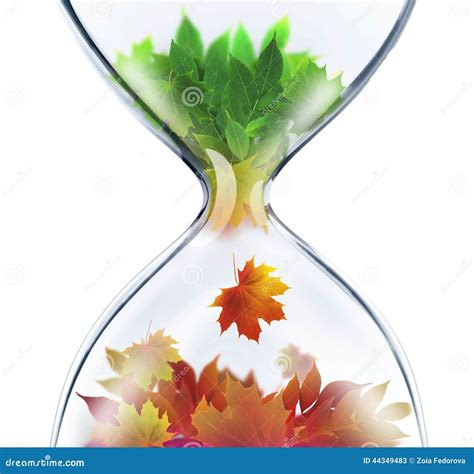 The Changing Seasons Concept Stock Illustration Illustration Of