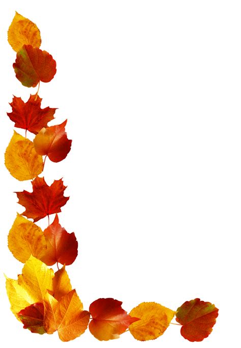 Fall Leaves Border Png