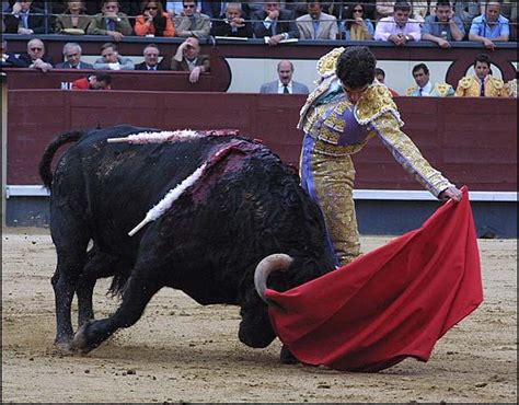 Learn About Bullfighting In Spain Best World Travel Destinations