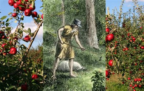 Legendary Johnny Appleseed Who Planted Apple Trees Across North America
