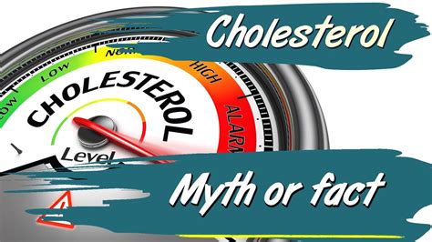 Cholesterol Myth Heres The Truth Youtube