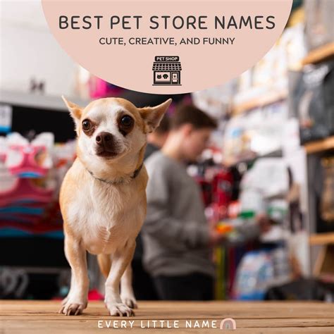 150 Best Pet Store Names Cute Creative And Purr Fect Every