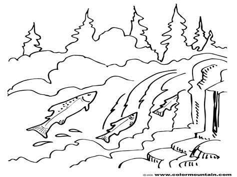 Stream Coloring Pages